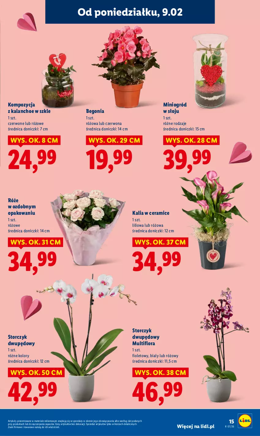 Gazetka promocyjna Lidl - GAZETKA - ważna 09.02 do 11.02.2026 - strona 15 - produkty: Flora, Kalanchoe, Ogród, Storczyk