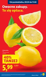 Gazetka promocyjna Lidl - GAZETKA - Gazetka - ważna od 11.02 do 11.02.2026 - strona 17 - produkty: Cytryny