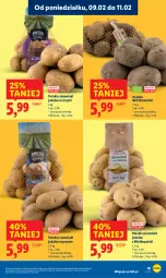 Gazetka promocyjna Lidl - GAZETKA - Gazetka - ważna od 11.02 do 11.02.2026 - strona 19 - produkty: Ziemniaki, Frytki