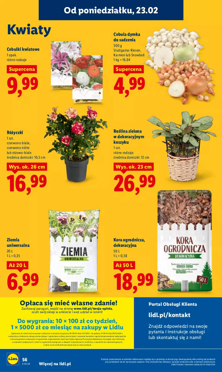 Gazetka promocyjna Lidl - Oferta ważna od 23.02 do 25.02 - ważna 23.02 do 25.02.2026 - strona 56 - produkty: Cebula, Gra, Kosz, Laur, Mola, Por, Portal