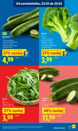 Gazetka promocyjna Lidl - Oferta ważna od 23.02 do 25.02 - Gazetka - ważna od 25.02 do 25.02.2026 - strona 13 - produkty: Rukola, Brokuły