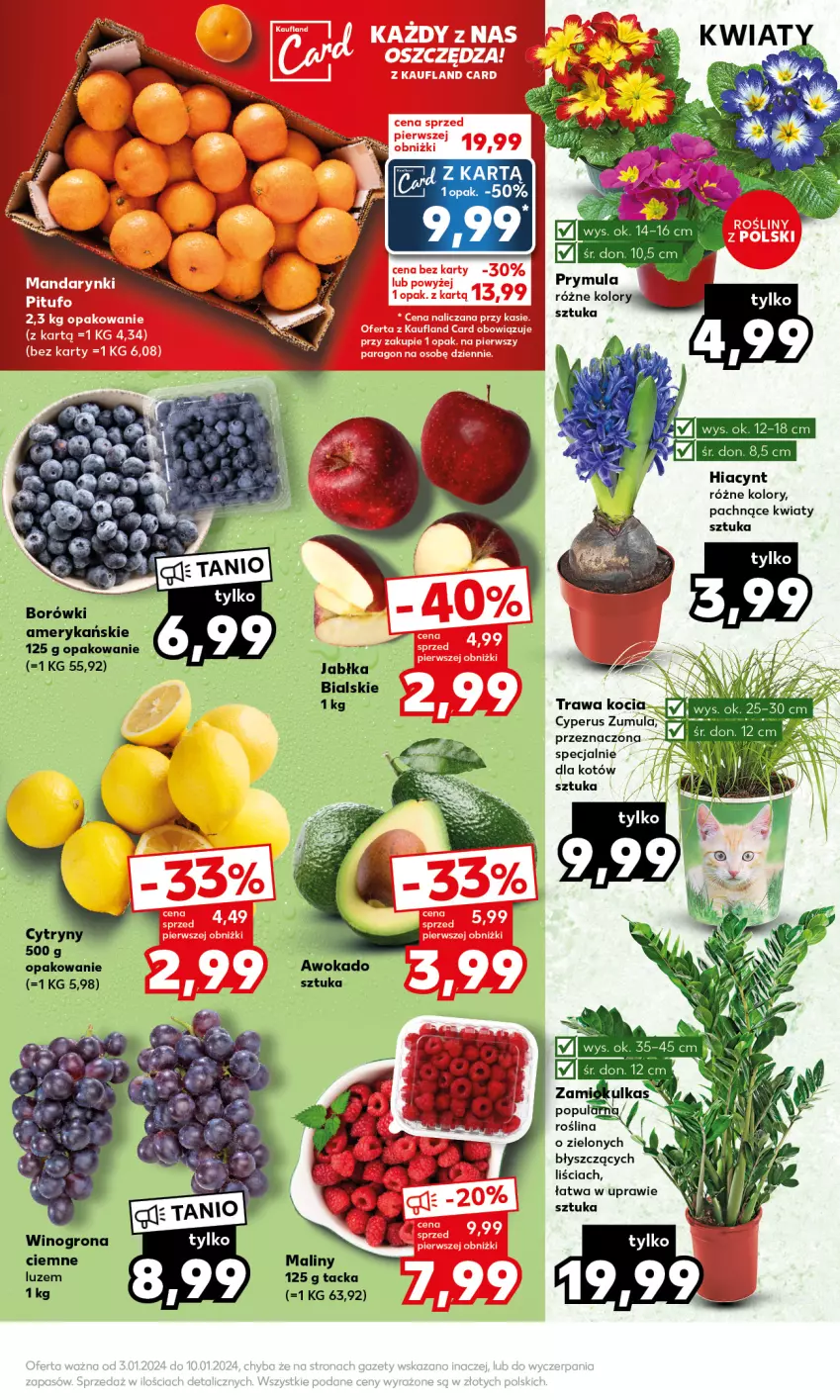 Gazetka promocyjna Kaufland - Mocny Start - ważna 08.01 do 10.01.2024 - strona 11 - produkty: Hiacynt, Jabłka, Koc, Maliny, Prymula, Wino, Winogrona