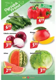 Gazetka promocyjna Prim Market - Gazetka - ważna od 13.08 do 13.08.2025 - strona 6 - produkty: Papryka czerwona, Papryka