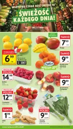 Gazetka promocyjna Intermarche - Gazetka Intermarche - Gazetka - ważna od 09.09 do 09.09.2026 - strona 12 - produkty: Gra, Mango, Grafika, Szpinak, Imbir