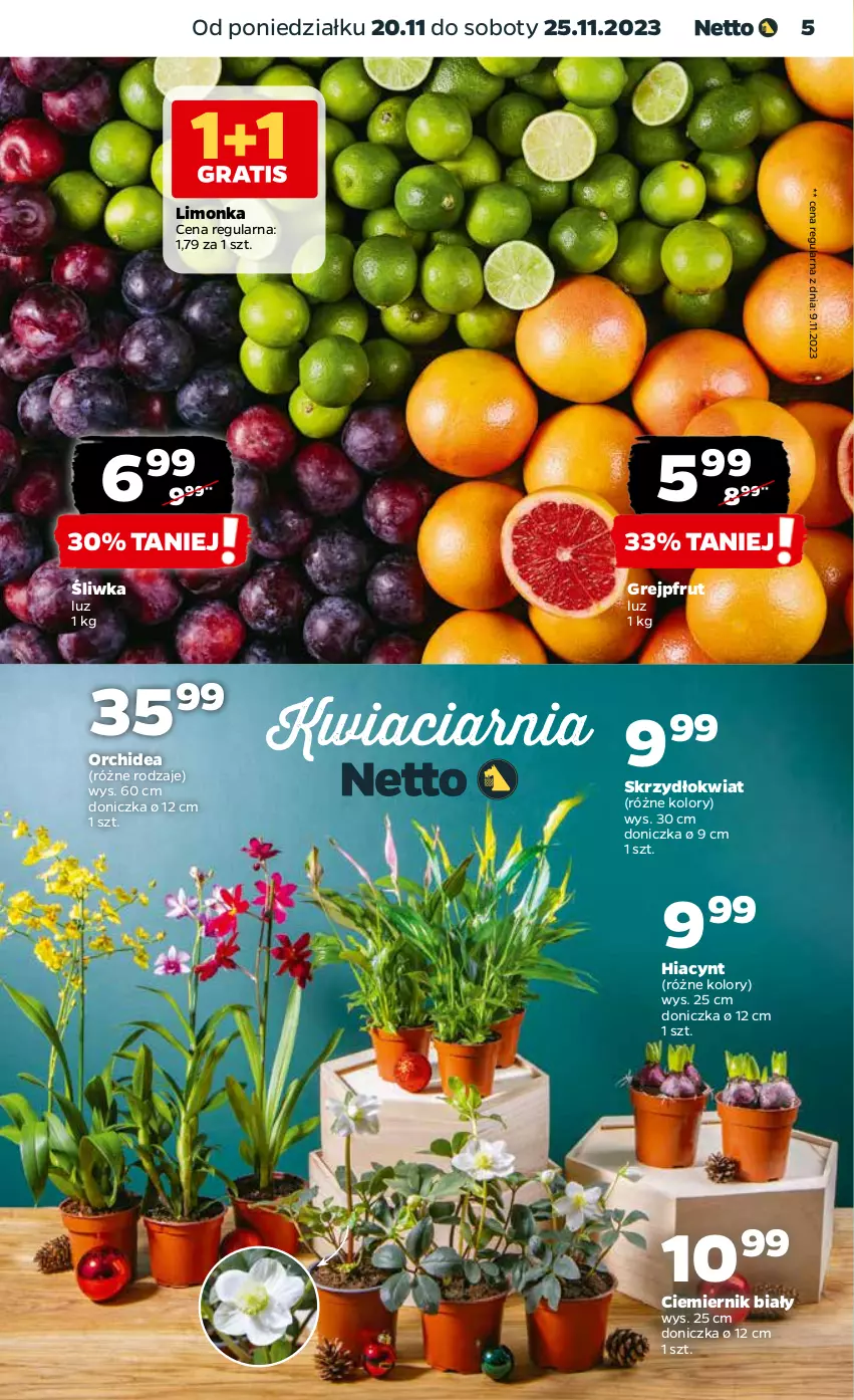 Gazetka promocyjna Netto - Artykuły spożywcze - ważna 20.11 do 25.11.2023 - strona 5 - produkty: Grejpfrut, Hiacynt, Limonka