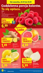 Gazetka promocyjna Lidl - GAZETKA - Gazetka - ważna od 25.01 do 25.01.2026 - strona 22 - produkty: Cebula, Por, Cytryny, Maliny, Grejpfrut, Imbir