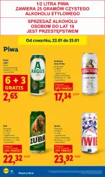 Gazetka promocyjna Lidl - GAZETKA - Gazetka - ważna od 25.01 do 25.01.2026 - strona 42 - produkty: Piwa, Gra, Kasztelan