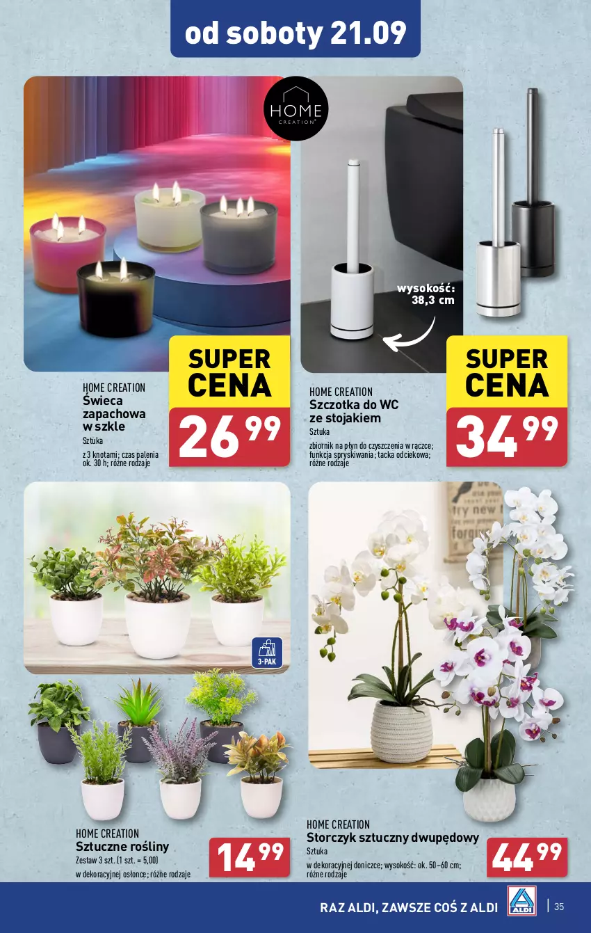 Gazetka promocyjna Aldi - Pełna oferta - ważna 16.09 do 21.09.2024 - strona 35 - produkty: Sok, Stojak, Storczyk, Szczotka, Szczotka do WC