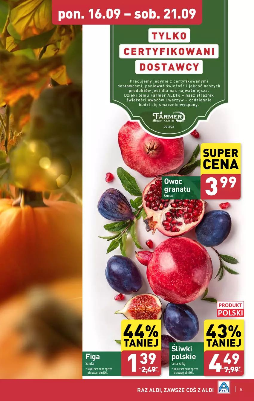 Gazetka promocyjna Aldi - Pełna oferta - ważna 16.09 do 21.09.2024 - strona 5 - produkty: Gra, Granat