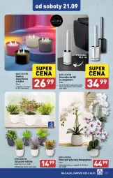 Gazetka promocyjna Aldi - Pełna oferta - Gazetka - ważna od 21.09 do 21.09.2024 - strona 35 - produkty: Sok, Stojak, Szczotka, Storczyk, Szczotka do WC