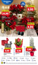 Gazetka promocyjna Lidl - GAZETKA - Gazetka - ważna od 07.12 do 07.12.2022 - strona 68 - produkty: Sok, Por, Cyprysik, Cień, O nas, Gwiazda, Renifer, Osłonka