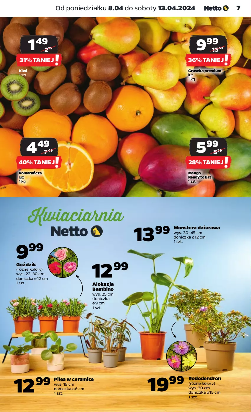 Gazetka promocyjna Netto - Artykuły spożywcze - ważna 08.04 do 13.04.2024 - strona 7 - produkty: Dron, Kiwi, Mango, Tera