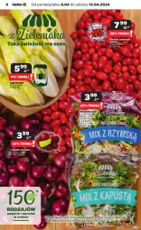 Gazetka promocyjna Netto - Artykuły spożywcze - Gazetka - ważna od 13.04 do 13.04.2024 - strona 6 - produkty: Cebula czerwona, Cebula, Sałat, Kapustą, Mieszanka sałat