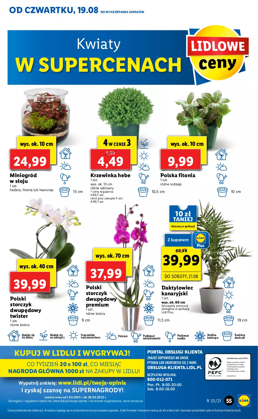 Gazetka promocyjna Lidl - GAZETKA - ważna 19.08 do 21.08.2021 - strona 55 - produkty: Cień, Gry, Inka, Mola, O nas, Ogród, Storczyk