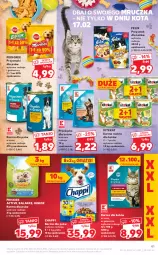 Gazetka promocyjna Kaufland - OFERTA TYGODNIA - Gazetka - ważna od 23.02 do 23.02.2022 - strona 41 - produkty: Sos, Gra, Rama, Friskies, Karma mokra dla kotów, Chappi, Przekąska dla kotów, KiteKat, Przysmaki, Felix, Gala, Pedigree