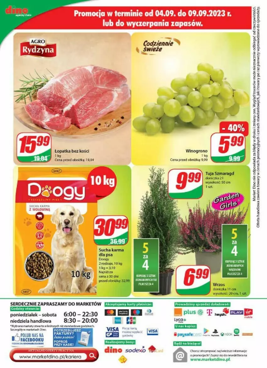 Gazetka promocyjna Dino - ważna 06.09 do 12.09.2023 - strona 17 - produkty: Fa, Ser, Tera, Wino