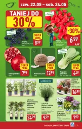 Gazetka promocyjna Aldi - Pełna oferta - Gazetka - ważna od 24.05 do 24.05.2025 - strona 25 - produkty: Sok, Por, Gra, Granat, Jeżyny, Kiwi, Maliny, Winogrona, Wino, Kokos