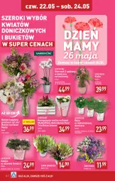 Gazetka promocyjna Aldi - Pełna oferta - Gazetka - ważna od 24.05 do 24.05.2025 - strona 26 - produkty: Sok, Róża, Storczyk, Bukiet