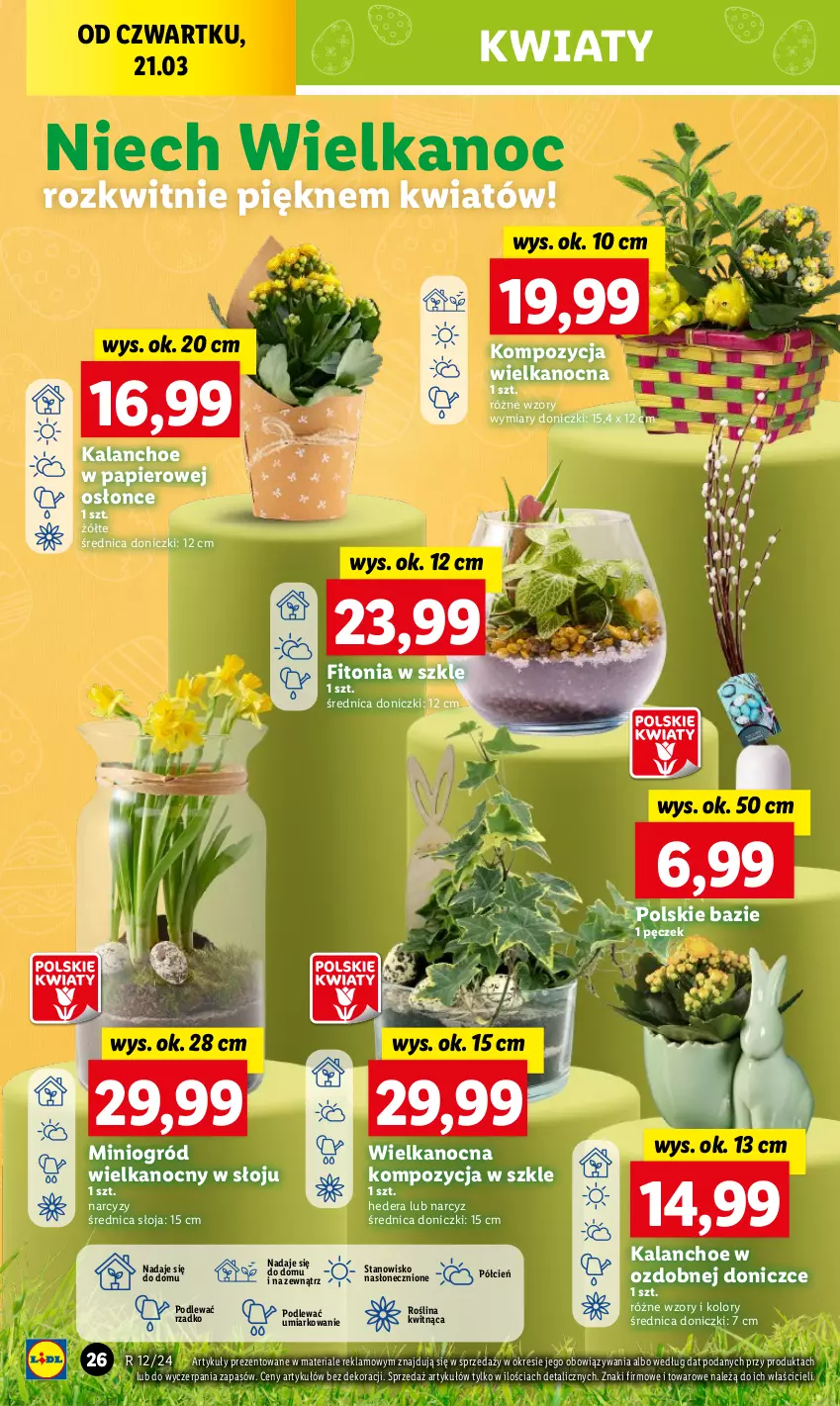 Gazetka promocyjna Lidl - GAZETKA - ważna 21.03 do 24.03.2024 - strona 28 - produkty: Cień, Kalanchoe, Narcyz, O nas, Ogród, Papier