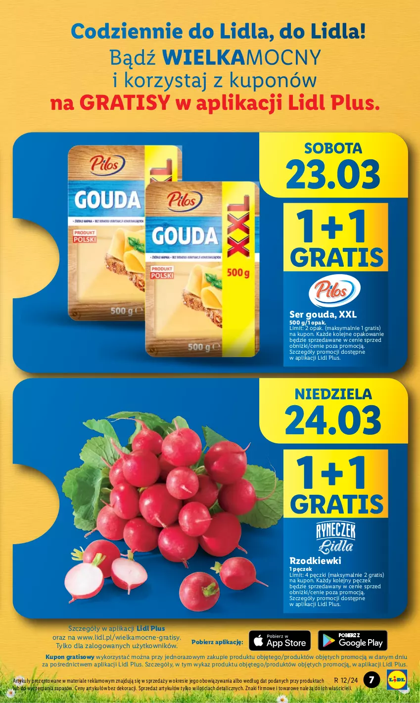 Gazetka promocyjna Lidl - GAZETKA - ważna 21.03 do 24.03.2024 - strona 7 - produkty: Gouda, Gra, Olej, Ser