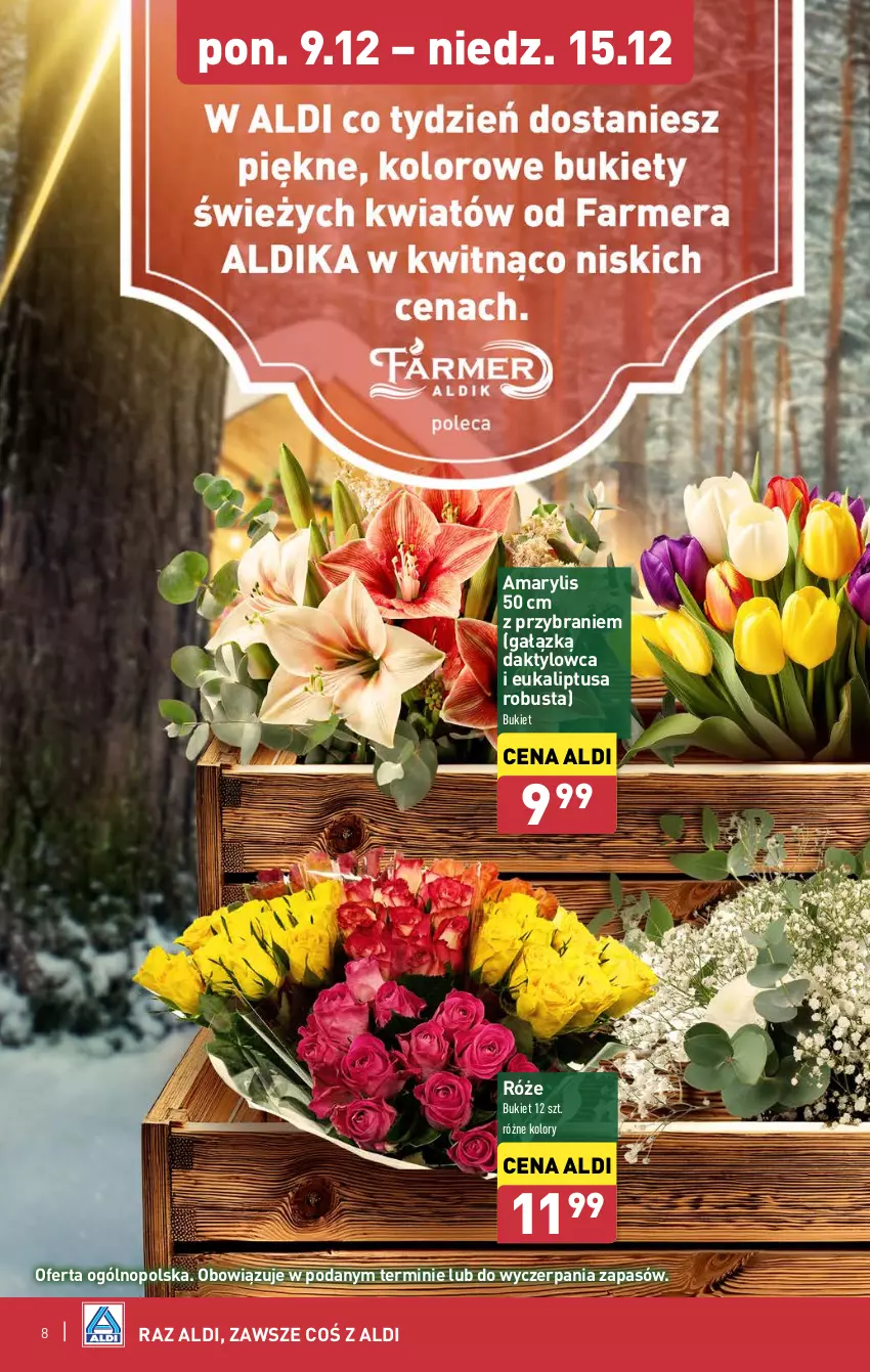 Gazetka promocyjna Aldi - Farmer ALDIK poleca świeże owoce i warzywa - ważna 09.12 do 15.12.2024 - strona 8 - produkty: Amarylis, Bukiet