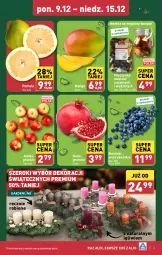 Gazetka promocyjna Aldi - Farmer ALDIK poleca świeże owoce i warzywa - Gazetka - ważna od 15.12 do 15.12.2024 - strona 3 - produkty: Gra, Granat, Pomelo, Mango, Jabłka