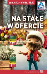 Gazetka promocyjna Aldi - Farmer ALDIK poleca świeże owoce i warzywa - Gazetka - ważna od 15.12 do 15.12.2024 - strona 9 - produkty: Tulipan, Bukiet