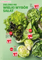 Gazetka promocyjna Kaufland - Gazetka tygodnia - Gazetka - ważna od 11.09 do 11.09.2024 - strona 10 - produkty: Sałata lodowa, Rukola, Sałat, Grunt