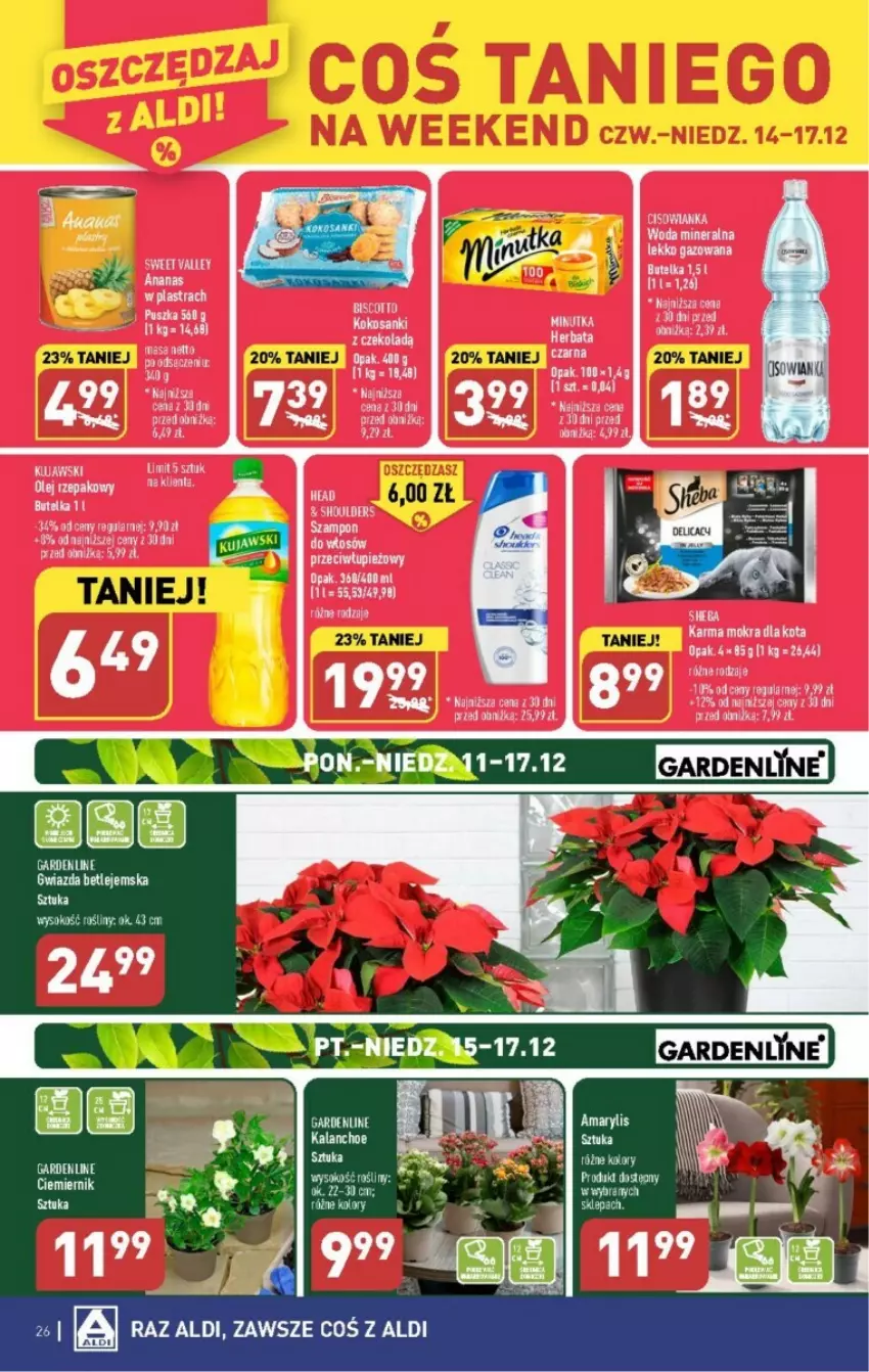 Gazetka promocyjna Aldi - ważna 11.12 do 17.12.2023 - strona 19 - produkty: Amarylis, Cisowianka, Odol, Panga, Por, Sok, Woda, Woda mineralna