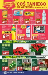 Gazetka promocyjna Aldi - Gazetka - ważna od 17.12 do 17.12.2023 - strona 19 - produkty: Sok, Por, Amarylis, Panga, Woda mineralna, Woda, Cisowianka, Odol