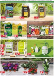 Gazetka promocyjna Merkury Market - Gazetka - ważna od 28.02 do 28.02.2025 - strona 38 - produkty: Chrzan, Sok, Mus, Biohumus, Nawóz, Hobby, Kokos