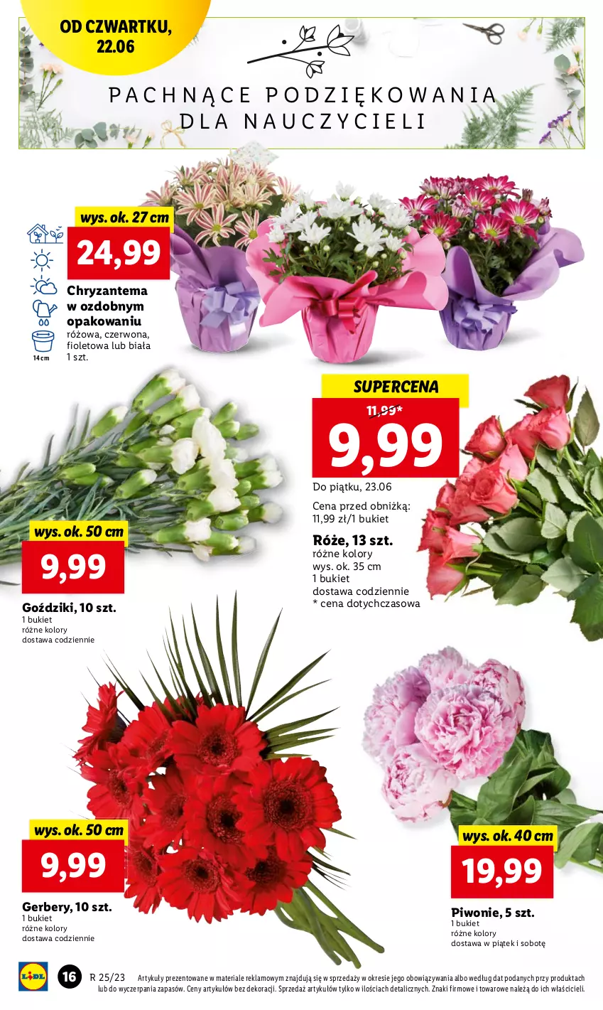 Gazetka promocyjna Lidl - GAZETKA - ważna 22.06 do 25.06.2023 - strona 20 - produkty: Bukiet