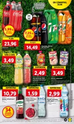 Gazetka promocyjna Lidl - GAZETKA - Gazetka - ważna od 25.06 do 25.06.2023 - strona 29 - produkty: Kasza jaglana, Sok, Ryż, Inka, Płatki owsiane, LANA, Tymbark, Aronia, Szklanka, Woda mineralna, Owoce, Woda, Kasza, Mango, Herbapol, Hortex