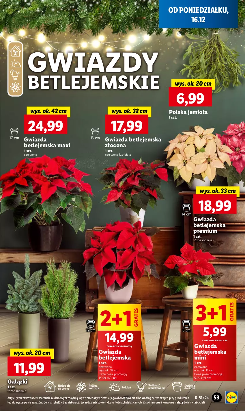 Gazetka promocyjna Lidl - GAZETKA - ważna 16.12 do 18.12.2024 - strona 63 - produkty: Cień, Gra, Gwiazda