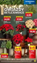 Gazetka promocyjna Lidl - GAZETKA - Gazetka - ważna od 18.12 do 18.12.2024 - strona 63 - produkty: Gra, Cień, Gwiazda