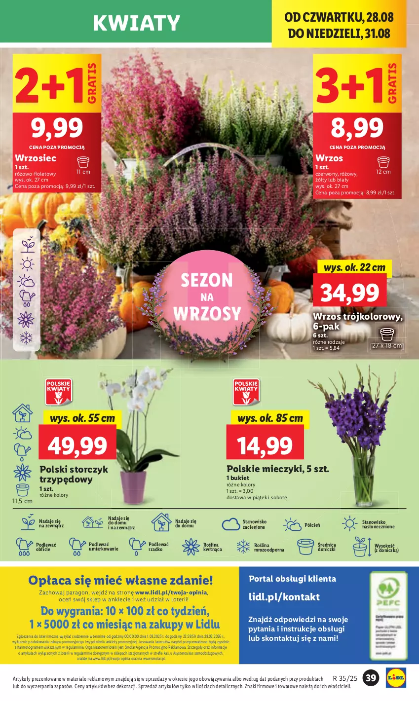 Gazetka promocyjna Lidl - GAZETKA - ważna 28.08 do 31.08.2025 - strona 43 - produkty: Bukiet, Cień, Gra, Laur, Miecz, Mola, O nas, Por, Portal, Sok, Storczyk