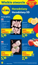 Gazetka promocyjna Lidl - Lidl w Horodnianach - Gazetka - ważna od 07.02 do 07.02.2026 - strona 1 - produkty: Kurczak, Cytryny, Jabłka