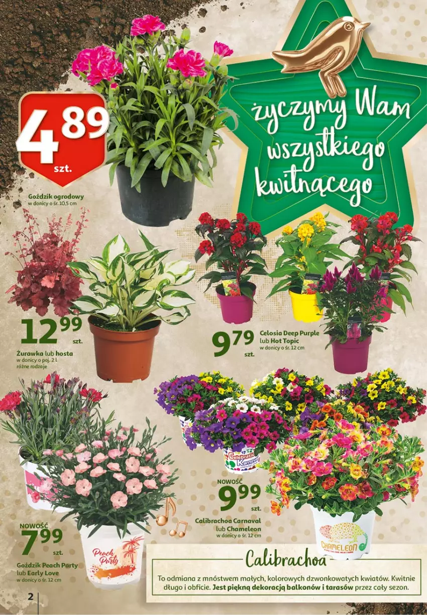 Gazetka promocyjna Auchan - 25 Urodziny – Życzymy Wszystkiego Słonecznego - ważna 06.05 do 15.05.2021 - strona 2 - produkty: Eleo, Leon, Pur, Top