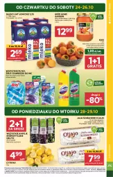 Gazetka promocyjna Stokrotka - Market - Gazetka - ważna od 29.10 do 29.10.2024 - strona 3 - produkty: Warzywa, Por, Gra, Zawieszki, Jaja, Cytryny, Kaki, Napoje, Miód, Owoce, Mięso, Mleko