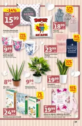 Gazetka promocyjna Auchan - Gazetka MAXI rewelacje Auchan Hipermarket - Gazetka - ważna od 18.01 do 18.01.2023 - strona 19 - produkty: Poduszka dekoracyjna, Klej, Aloe vera, Ręcznik, Kubek, Album, Poduszka, Fa