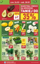 Gazetka promocyjna Aldi - Oferta weekendowa - Gazetka - ważna od 28.02 do 28.02.2026 - strona 6 - produkty: Piec, Warzywa, Hiacynt, Zioła w doniczce, Warzywa i owoce, Laur, Narcyz, Owoce, Melon