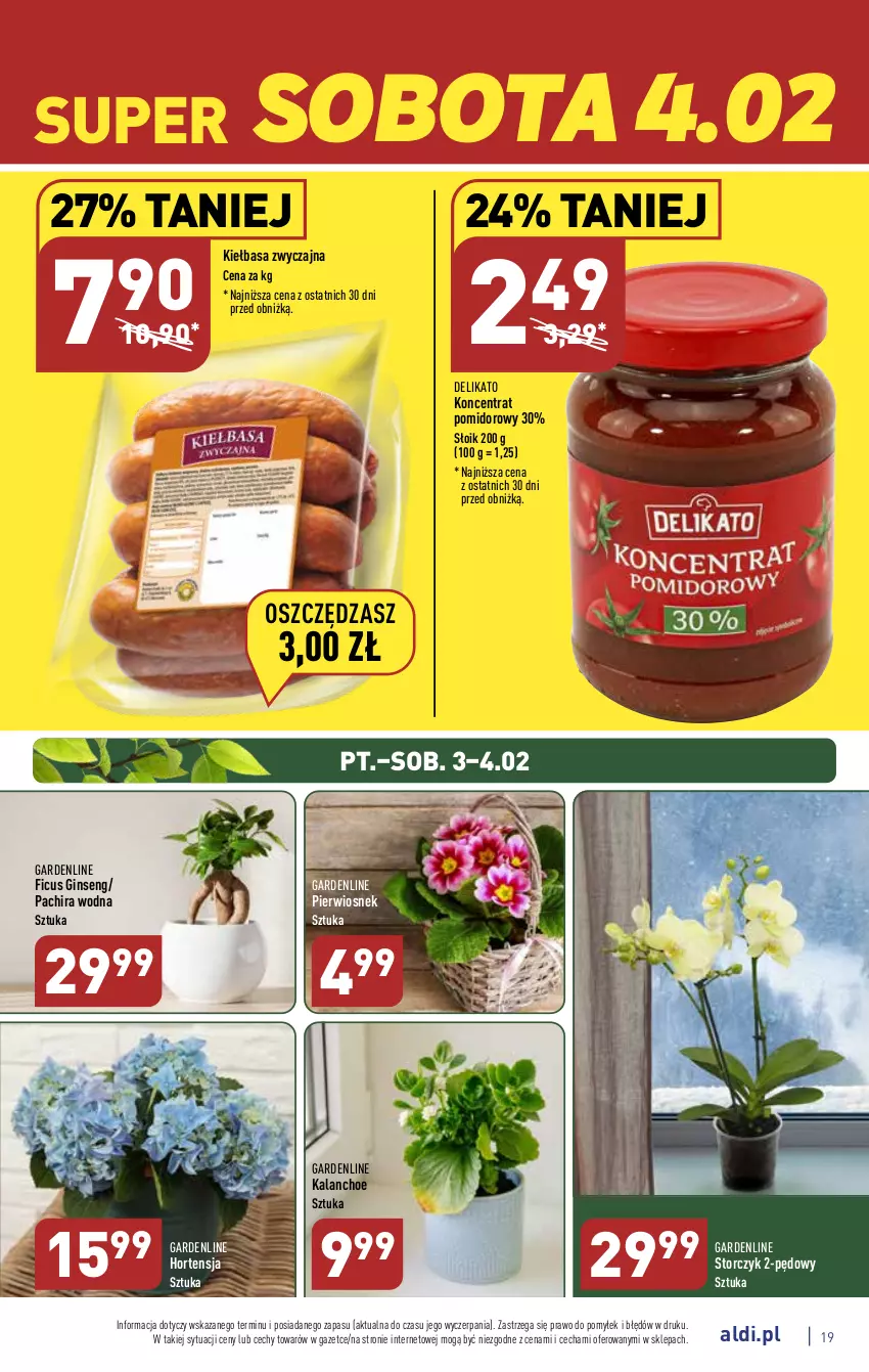 Gazetka promocyjna Aldi - Pełny katalog - ważna 30.01 do 04.02.2023 - strona 19 - produkty: Gin, Kalanchoe, Kiełbasa, Koncentrat pomidorowy, Storczyk