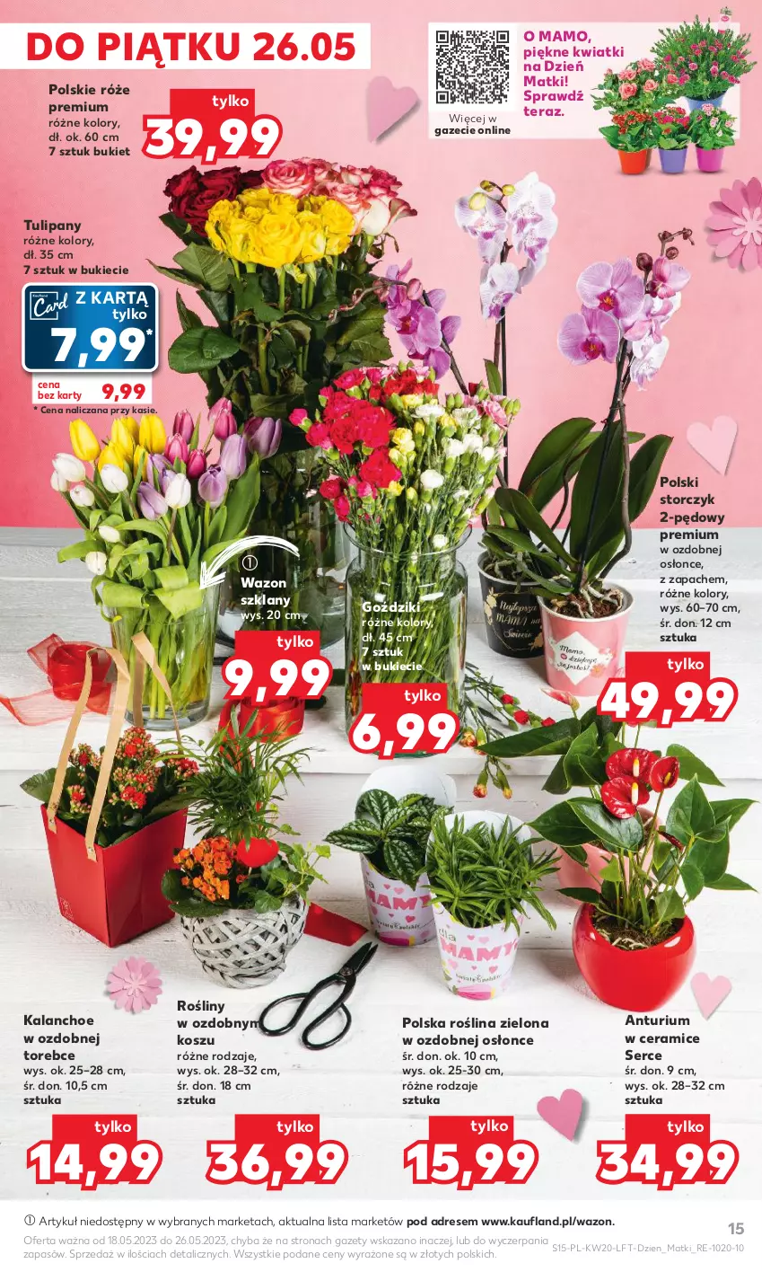 Gazetka promocyjna Kaufland - Gazetka tygodnia - ważna 18.05 do 24.05.2023 - strona 15 - produkty: Bukiet, Dres, Kalanchoe, Kosz, Ser, Storczyk, Tera, Tulipan, Wazon