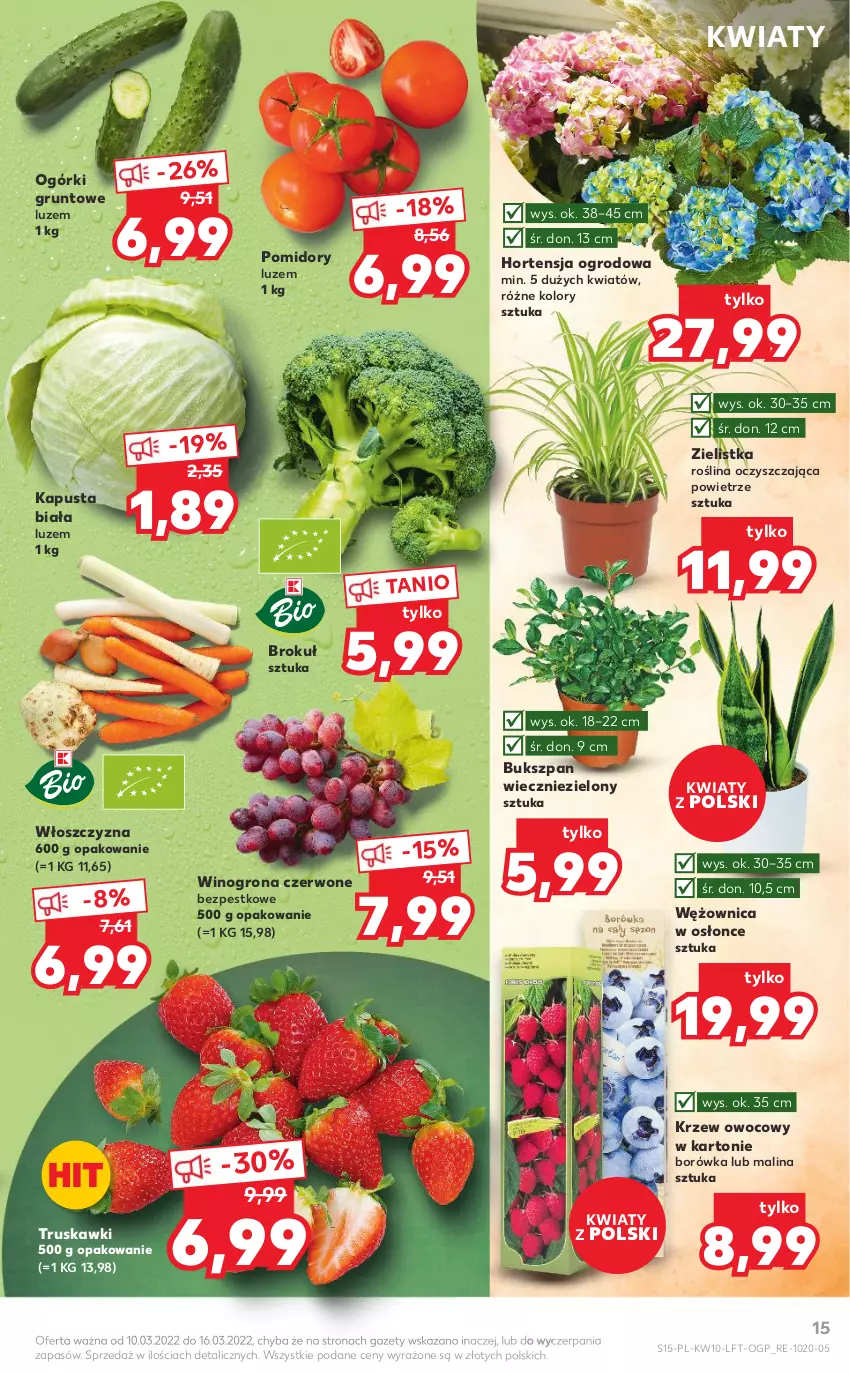 Gazetka promocyjna Kaufland - OFERTA TYGODNIA - ważna 10.03 do 16.03.2022 - strona 15 - produkty: Borówka, Grunt, Pomidory, Truskawki, Wino, Winogrona