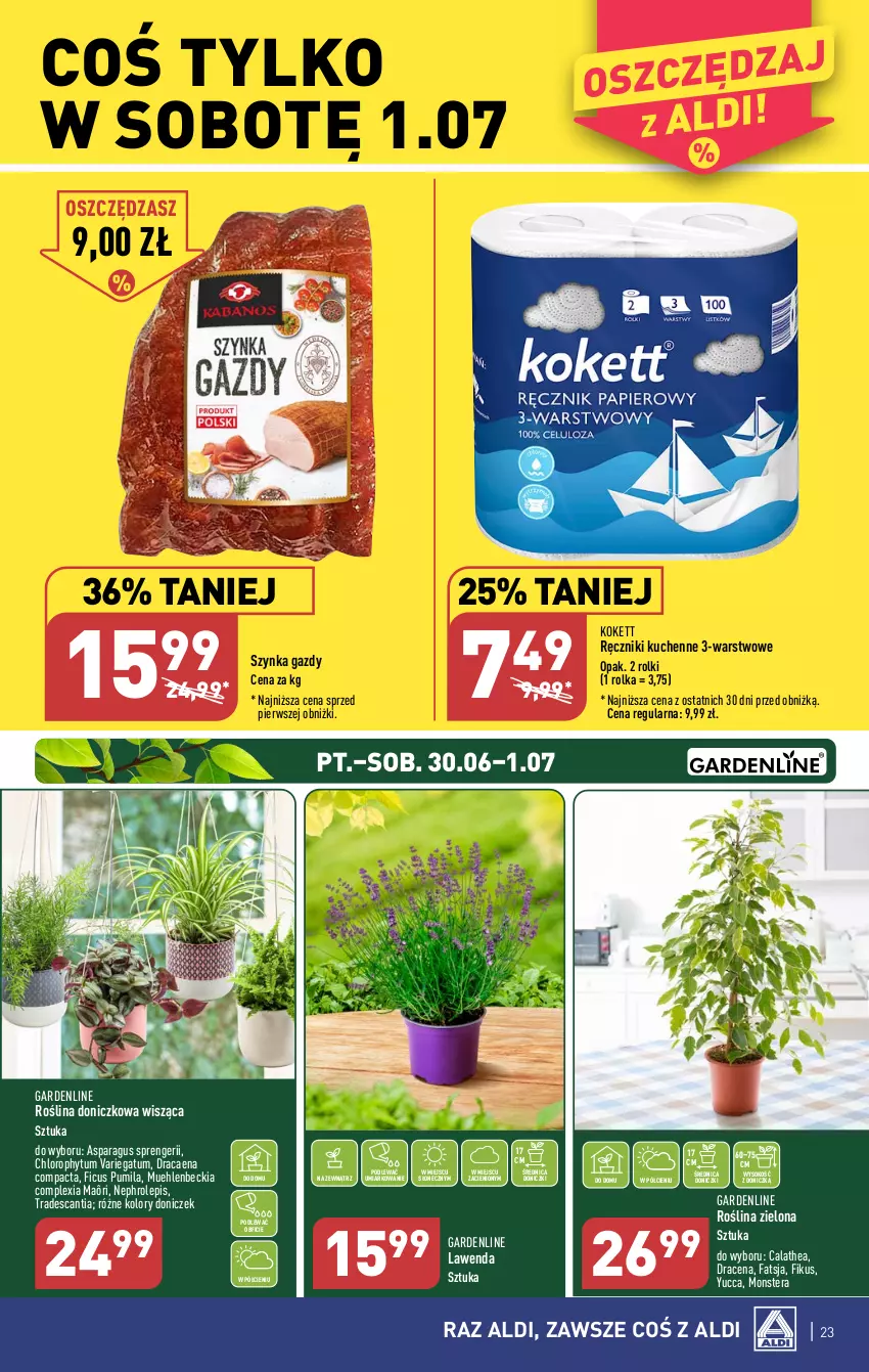 Gazetka promocyjna Aldi - Pełen katalog od 26.06 - ważna 26.06 do 01.07.2023 - strona 23 - produkty: Fa, Ręcznik, Rolki, Sok, Szynka, Tera