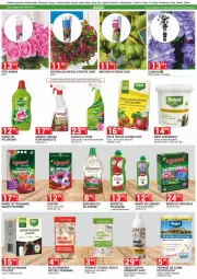 Gazetka promocyjna Merkury Market - Gazetka - ważna od 30.04 do 30.04.2024 - strona 3 - produkty: Chrzan, Warzywa, Rum, Mus, Biohumus, Róża, Surf, Kiwi, Owoce, Nawóz