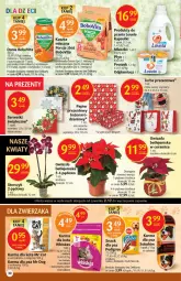 Gazetka promocyjna Delikatesy Centrum - Gazetka DC48 n. fresh - Gazetka - ważna od 08.12 do 08.12.2021 - strona 30 - produkty: Kurczak, Torba prezentowa, Makaron, Warzywa, Sok, Ser, Por, Gra, Papier, Lovela, Whiskas, BoboVita, Serwetki, Gwiazda, Odplamiacz, Storczyk, Mleczko, Torba, Tuńczyk, Szpinak