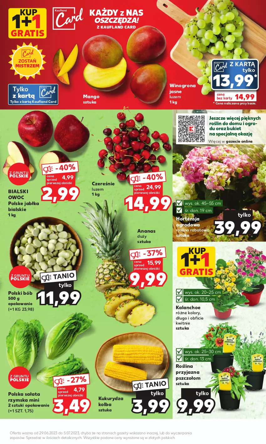 Gazetka promocyjna Kaufland - Mocny Start - ważna 03.07 do 05.07.2023 - strona 7 - produkty: Ananas, Bukiet, Gra, Grunt, Jabłka, Kalanchoe, Kukurydza, Mango, Sałat, Wino, Winogrona