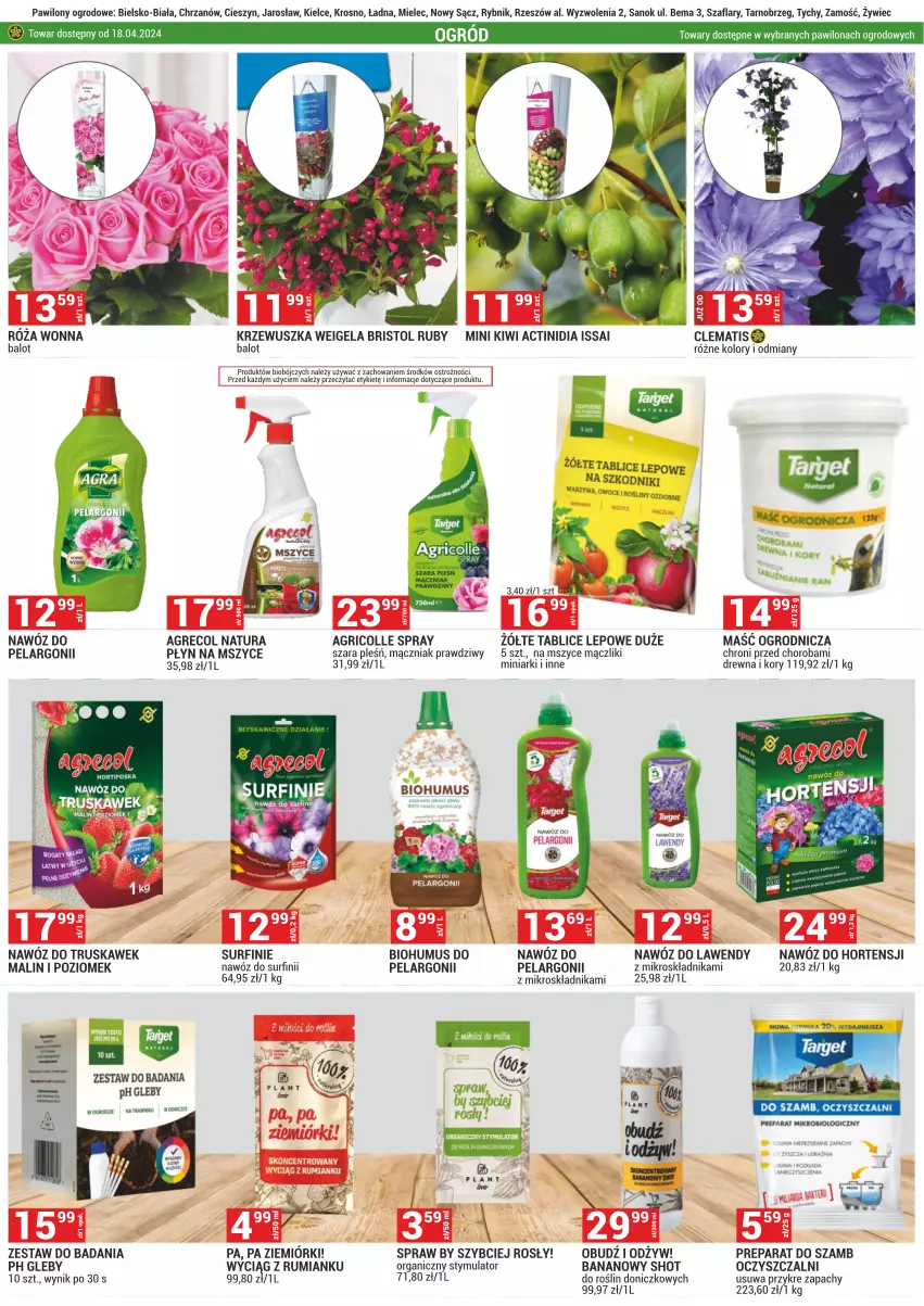 Gazetka promocyjna Merkury Market - ważna 02.04 do 30.04.2024 - strona 3 - produkty: Biohumus, Chrzan, Kiwi, Mus, Nawóz, Owoce, Róża, Rum, Surf, Warzywa