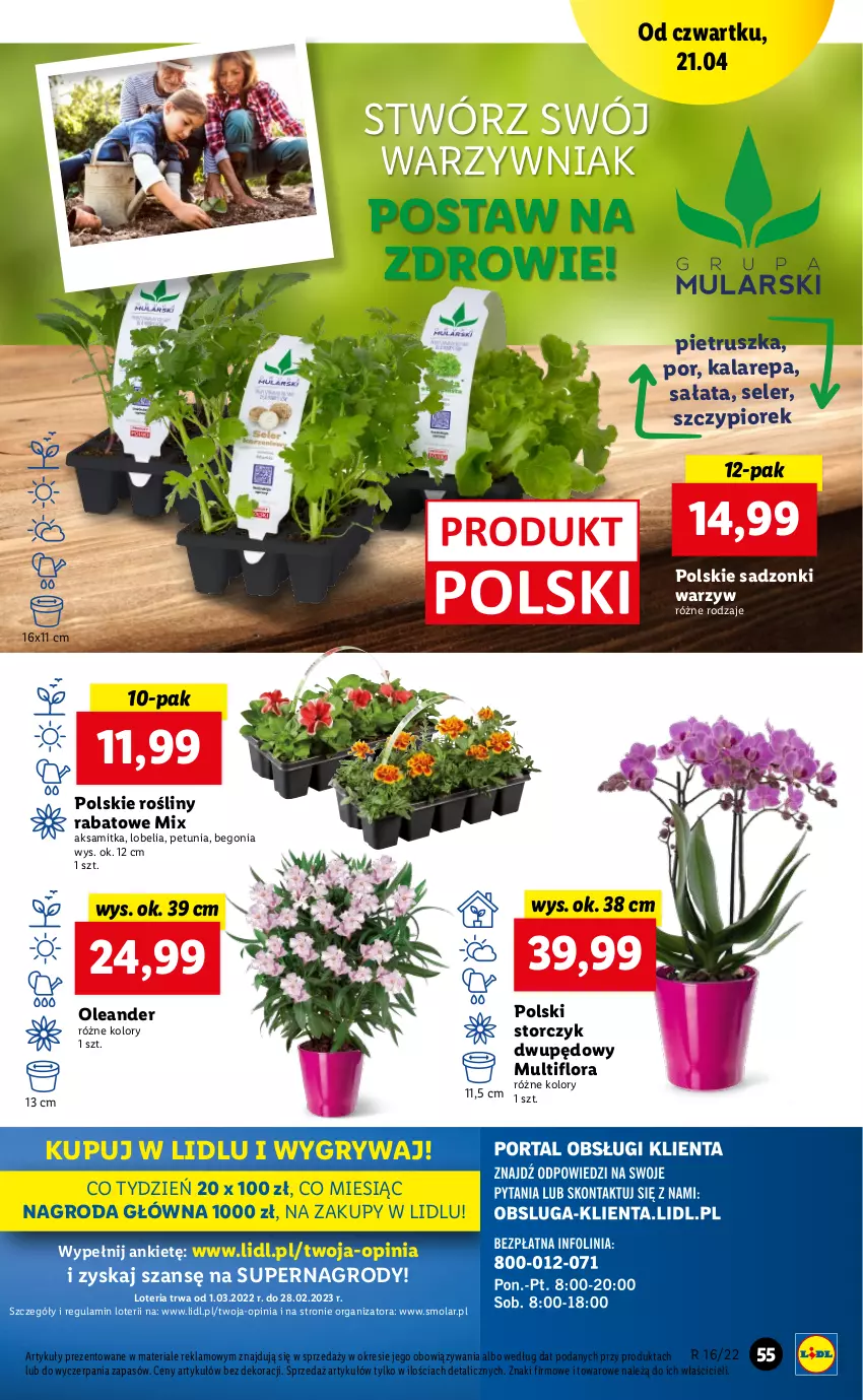 Gazetka promocyjna Lidl - GAZETKA - ważna 21.04 do 24.04.2022 - strona 55 - produkty: Aksam, Flora, Gry, Mola, Pietruszka, Por, Sałat, Storczyk, Zdrowie